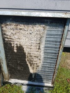 A/C Repair Avon Park FL Evaporator coil being cleaned with foamy cleanser - before cleaning on the left, after cleaning on the right